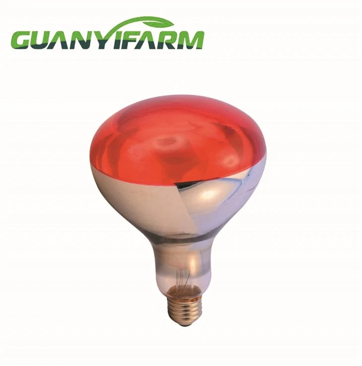 R125 Infrared Lamp For Poultry