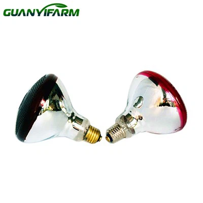 병아리를 따뜻하게 유지